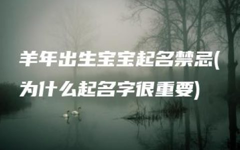 羊年出生宝宝起名禁忌(为什么起名字很重要)