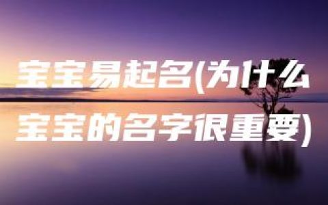 宝宝易起名(为什么宝宝的名字很重要)