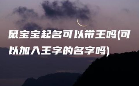 鼠宝宝起名可以带王吗(可以加入王字的名字吗)