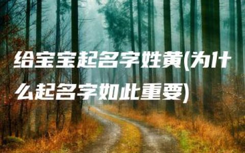 给宝宝起名字姓黄(为什么起名字如此重要)