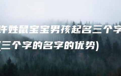 许姓鼠宝宝男孩起名三个字(三个字的名字的优势)