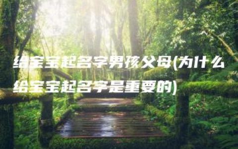 给宝宝起名字男孩父母(为什么给宝宝起名字是重要的)