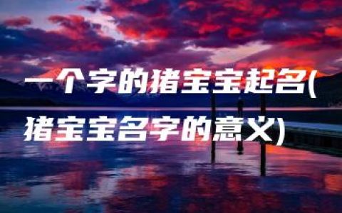 一个字的猪宝宝起名(猪宝宝名字的意义)