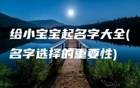 给小宝宝起名字大全(名字选择的重要性)