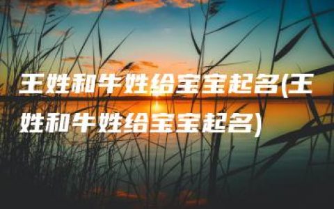 王姓和牛姓给宝宝起名(王姓和牛姓给宝宝起名)