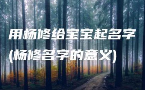 用杨修给宝宝起名字(杨修名字的意义)