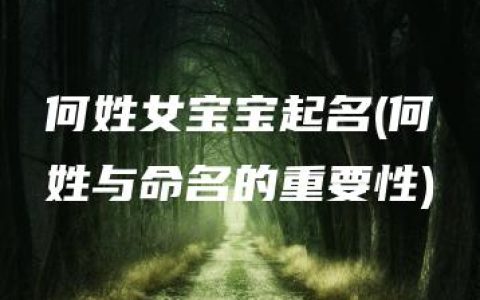 何姓女宝宝起名(何姓与命名的重要性)