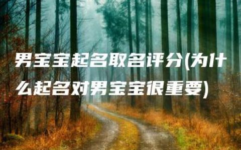 男宝宝起名取名评分(为什么起名对男宝宝很重要)