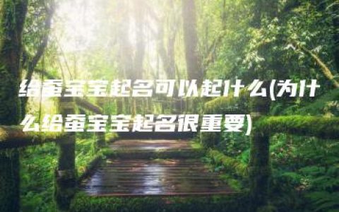 给蚕宝宝起名可以起什么(为什么给蚕宝宝起名很重要)