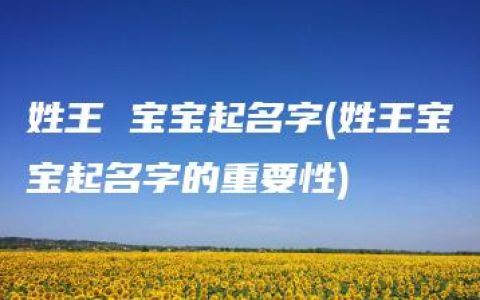 姓王 宝宝起名字(姓王宝宝起名字的重要性)