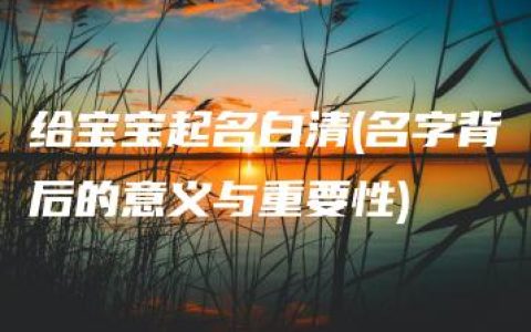 给宝宝起名白清(名字背后的意义与重要性)