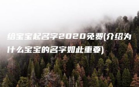 给宝宝起名字2020免费(介绍为什么宝宝的名字如此重要)