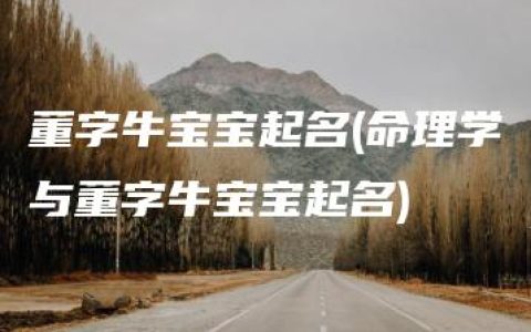 董字牛宝宝起名(命理学与董字牛宝宝起名)