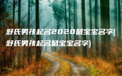 舒氏男孩起名2020鼠宝宝名字(舒氏男孩起名鼠宝宝名字)