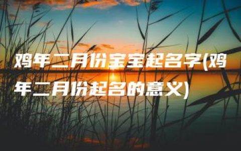 鸡年二月份宝宝起名字(鸡年二月份起名的意义)