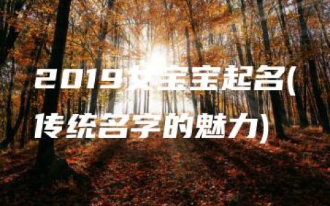 2019女宝宝起名(传统名字的魅力)