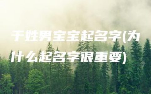 于姓男宝宝起名字(为什么起名字很重要)