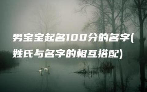 男宝宝起名100分的名字(姓氏与名字的相互搭配)