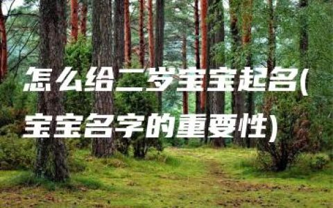 怎么给二岁宝宝起名(宝宝名字的重要性)