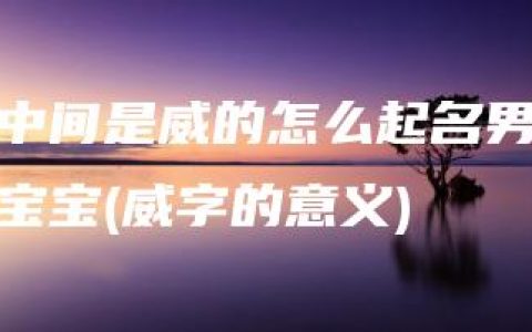 中间是威的怎么起名男宝宝(威字的意义)