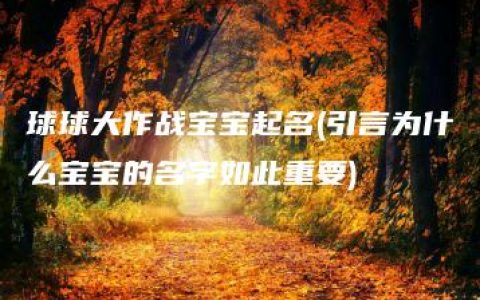 球球大作战宝宝起名(引言为什么宝宝的名字如此重要)