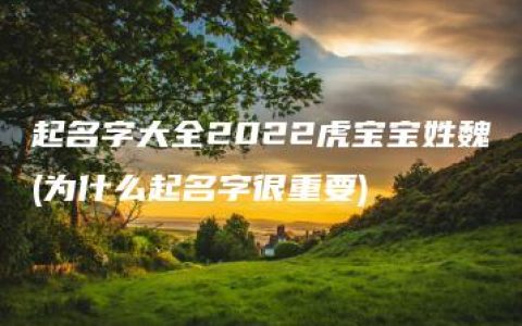 起名字大全2022虎宝宝姓魏(为什么起名字很重要)