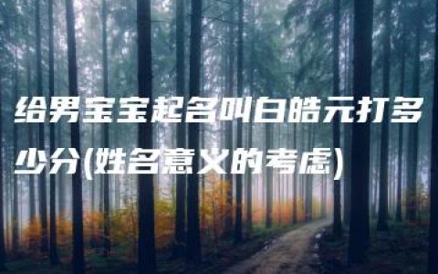 给男宝宝起名叫白皓元打多少分(姓名意义的考虑)