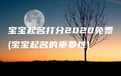 宝宝起名打分2020免费(宝宝起名的重要性)