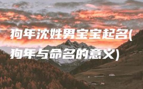 狗年沈姓男宝宝起名(狗年与命名的意义)