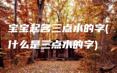 宝宝起名三点水的字(什么是三点水的字)