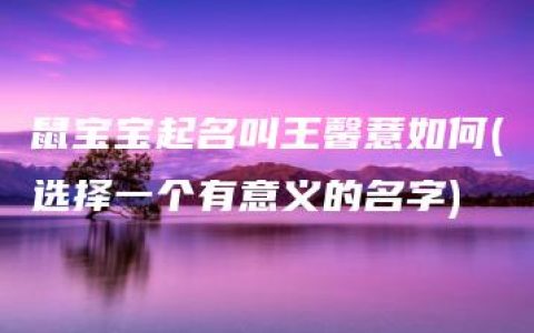 鼠宝宝起名叫王馨薏如何(选择一个有意义的名字)