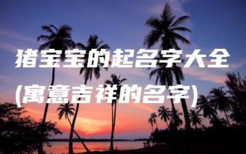 猪宝宝的起名字大全(寓意吉祥的名字)