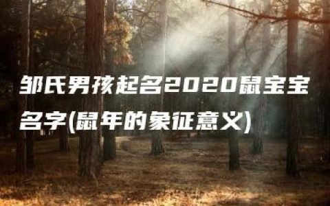 邹氏男孩起名2020鼠宝宝名字(鼠年的象征意义)