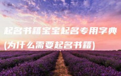 起名书籍宝宝起名专用字典(为什么需要起名书籍)