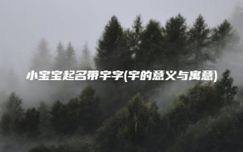 小宝宝起名带宇字(宇的意义与寓意)