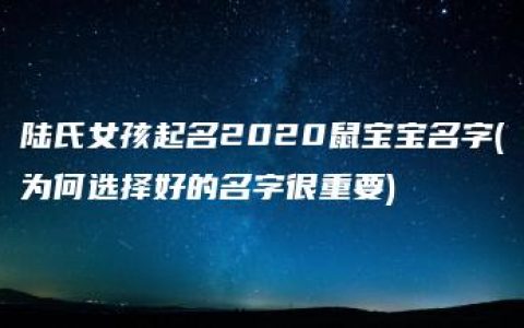 陆氏女孩起名2020鼠宝宝名字(为何选择好的名字很重要)