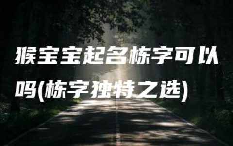 猴宝宝起名栋字可以吗(栋字独特之选)