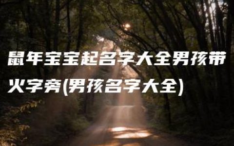 鼠年宝宝起名字大全男孩带火字旁(男孩名字大全)