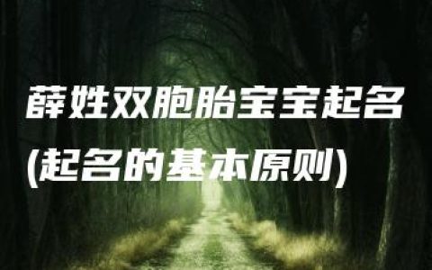 薛姓双胞胎宝宝起名(起名的基本原则)