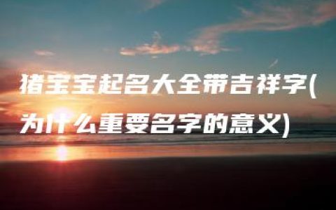 猪宝宝起名大全带吉祥字(为什么重要名字的意义)