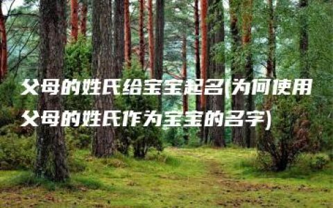 父母的姓氏给宝宝起名(为何使用父母的姓氏作为宝宝的名字)