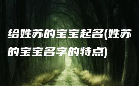 给姓苏的宝宝起名(姓苏的宝宝名字的特点)