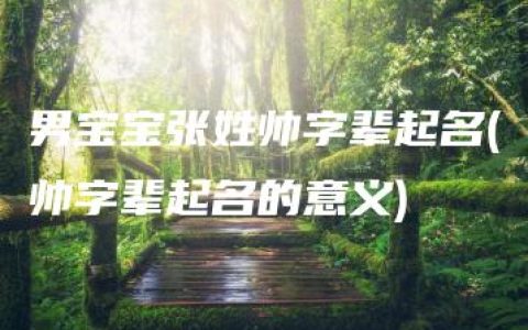 男宝宝张姓帅字辈起名(帅字辈起名的意义)