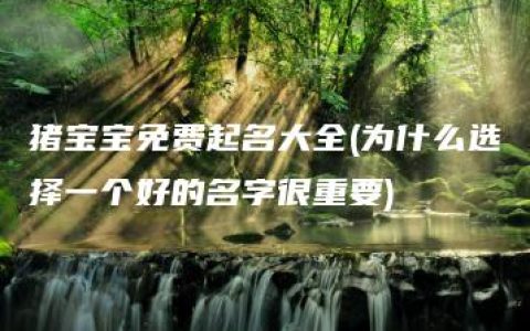 猪宝宝免费起名大全(为什么选择一个好的名字很重要)