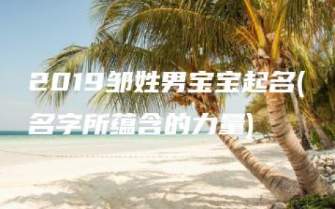 2019邹姓男宝宝起名(名字所蕴含的力量)