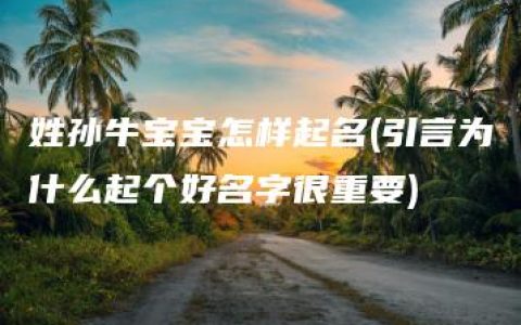 姓孙牛宝宝怎样起名(引言为什么起个好名字很重要)