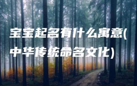 宝宝起名有什么寓意(中华传统命名文化)