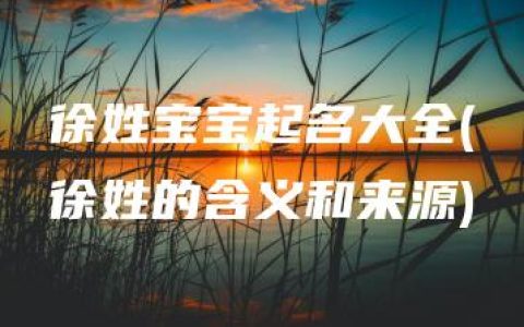 徐姓宝宝起名大全(徐姓的含义和来源)