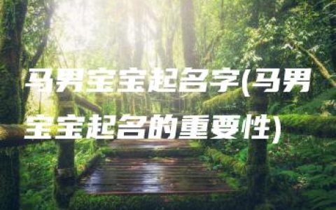 马男宝宝起名字(马男宝宝起名的重要性)