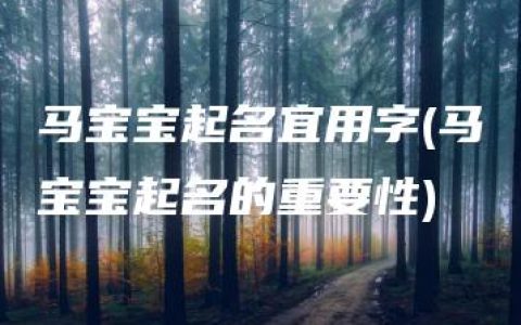 马宝宝起名宜用字(马宝宝起名的重要性)